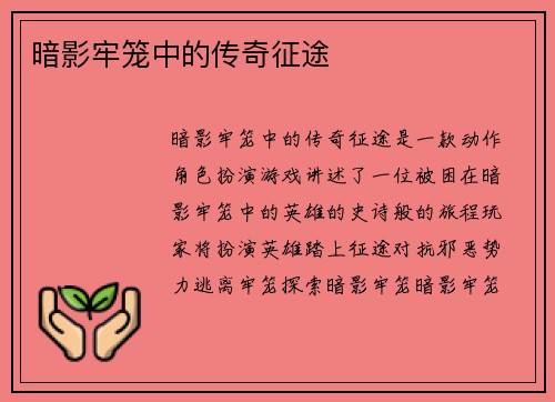 暗影牢笼中的传奇征途